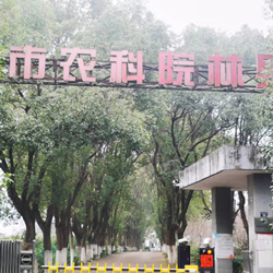 樹(shù)木修剪，受武漢農(nóng)科林果所委托，樹(shù)